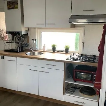 Hundefreundliches Meise